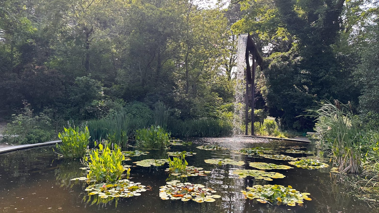 Water fountain in a garden pond