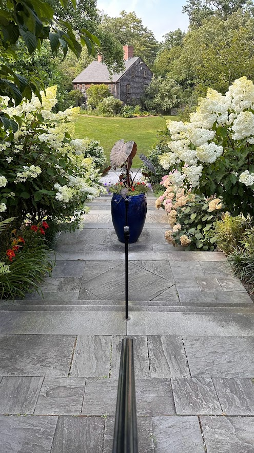 Flower-lined stairs
