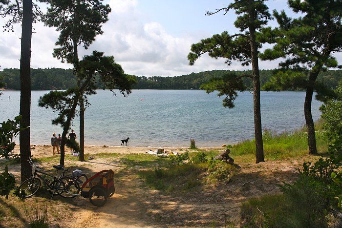 Lake beach at Nickerson State Park